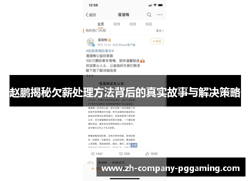 赵鹏揭秘欠薪处理方法背后的真实故事与解决策略